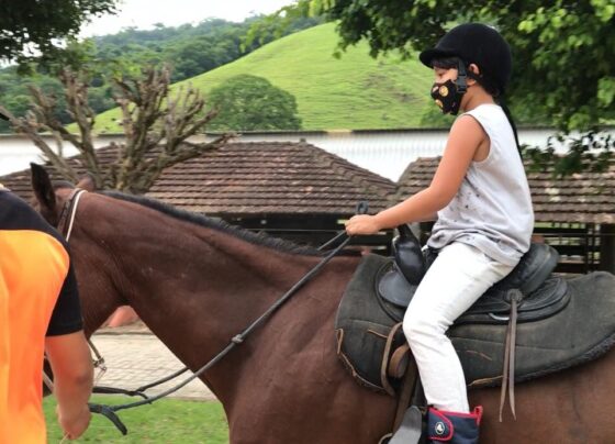 passeios-a-cavalo-podem-ter-comecado-ha-5-mil-anos,-diz-pesquisa