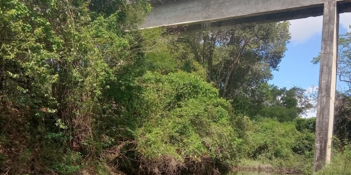 tom-ze-e-a-estrada-de-alagoinhas-pra-feira:-“nunca-passou-um-trem”