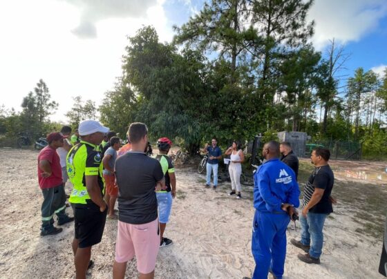 sedur-promove-revitalizacao-em-trilha-ecologica,-atraves-do-reflora-camacari