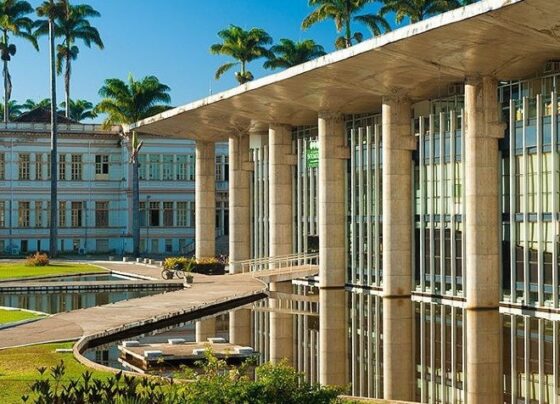 inscricoes-para-o-curso-de-licenciatura-em-educacao-do-campo-na-ufv-terminam-nesta-sexta-feira-(3)