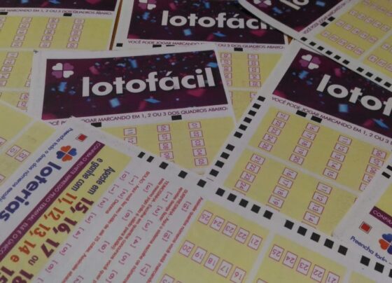 lotofacil:-mais-uma-aposta-de-ro-acerta-os-15-numeros-e-fatura-quase-r$-300-mil