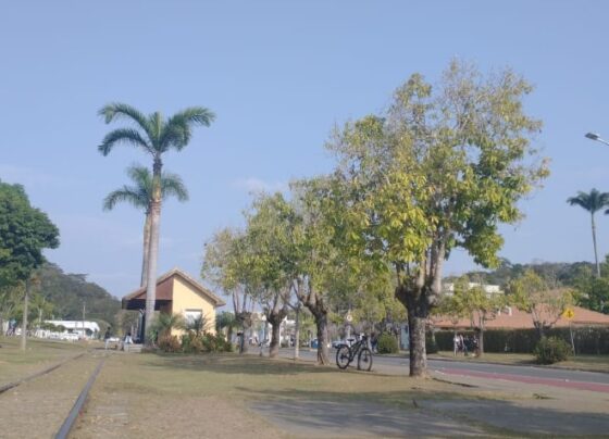 confira-como-fica-o-tempo-em-vicosa-e-regiao-nesta-quarta-feira-(1o)