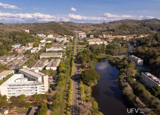 curso-de-ingles-na-ufv-oferece-bolsas-de-estudo