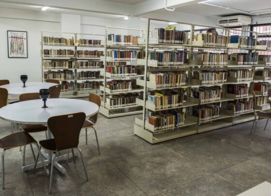 biblioteca-faz-troca-gratuita-de-livros-em-vitoria;-saiba-como-participar-e-confira-algumas-obras-disponiveis