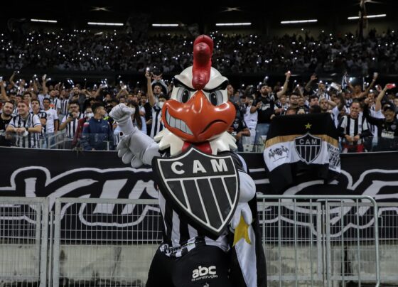 estrela-do-galo-revela-porque-recusou-vir-para-o-palmeiras
