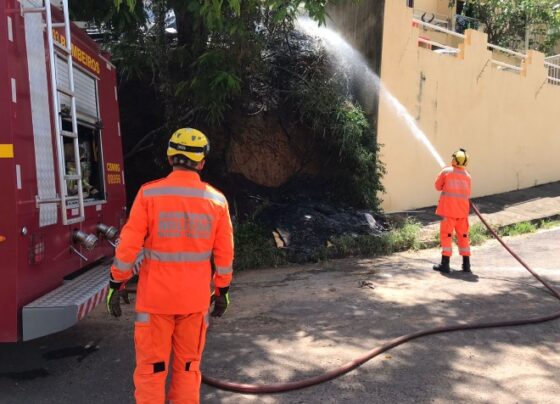 bombeiros-combatem-incendio-em-vegetacao-no-belvedere