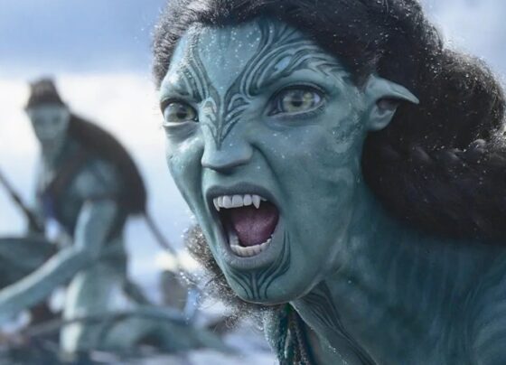 semana-oscar-2023:-onde-assistir-aos-filmes-indicados-a-melhor-filme?