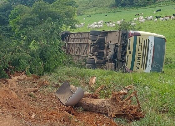 homem-morre-em-acidente-entre-carro-e-onibus-na-lmg-850-entre-uba-e-rodeiro