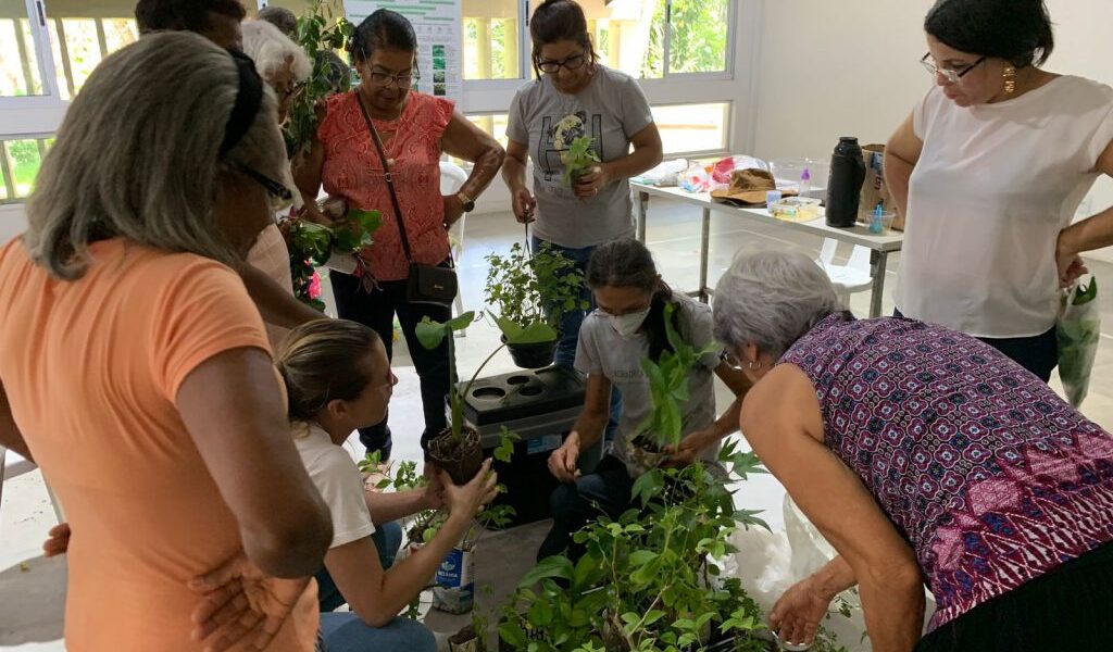 sedur-promove-oficina-sobre-plantas-alimenticias-nao-convencionais