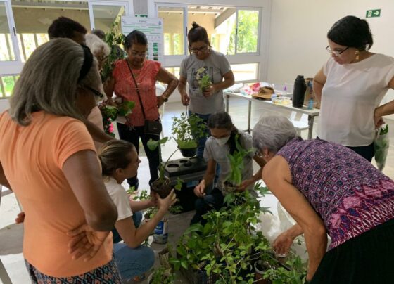 sedur-promove-oficina-sobre-plantas-alimenticias-nao-convencionais