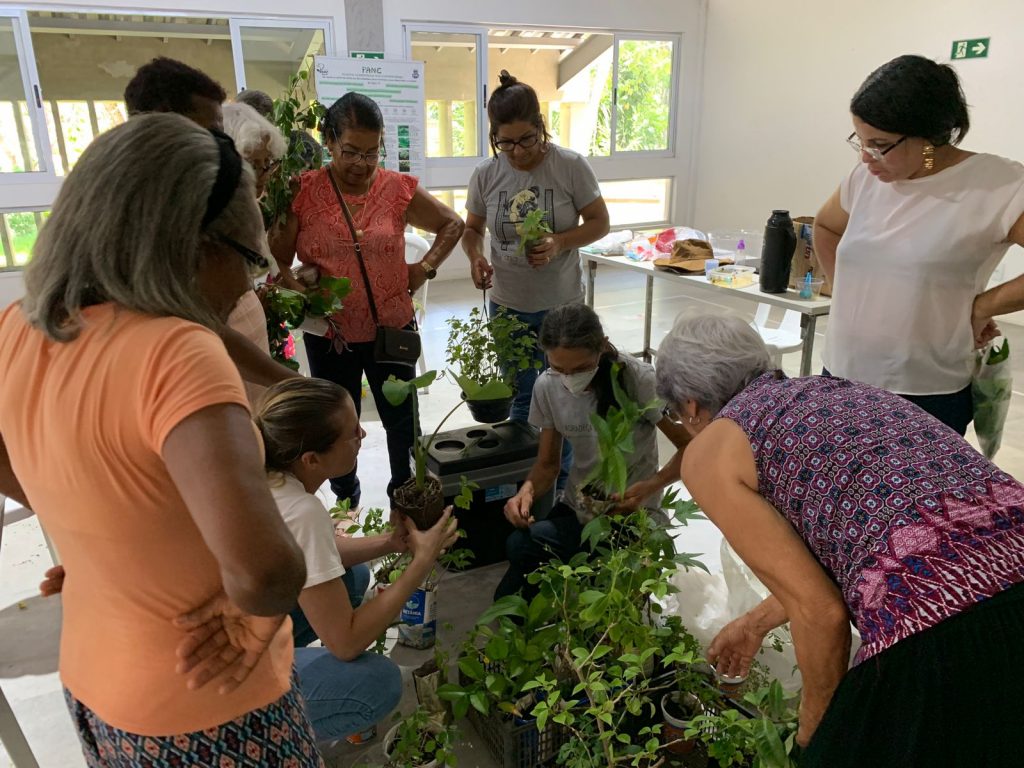 Sedur promove oficina sobre Plantas Alimentícias Não Convencionais