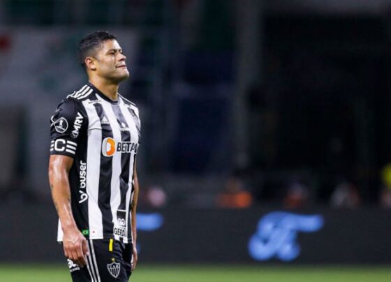 palmeiras-e-comunicado-e-esta-torcendo-por-vexame-do-atletico-mg-na-libertadores