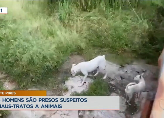 dois-homens-sao-presos-suspeitos-de-maus-tratos-a-animais-no-df