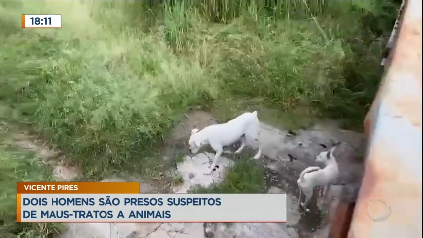 Dois homens são presos suspeitos de maus-tratos a animais no DF