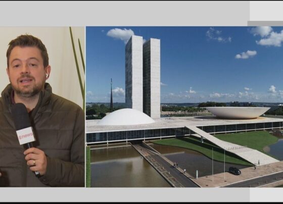 instituto-diz-que-volta-de-ministerio-especifico-para-mulheres-e-positiva,-mas-orcamento-ainda-e-insuficiente