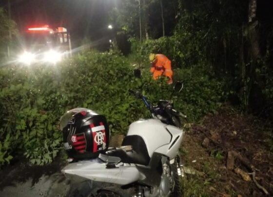 queda-de-arvore-fere-motociclista-na-saida-para-a-mg-280