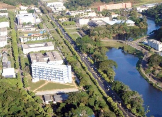 projeto-da-ufv-esta-recrutando-participantes-para-estudo-de-emagrecimento-consciente