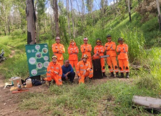 bombeiros-de-vicosa-fazem-curso-sobre-operacao-e-manutencao-de-motosserras