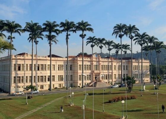 ufv-tem-concursos-abertos-para-tecnico-em-contabilidade-e-medico