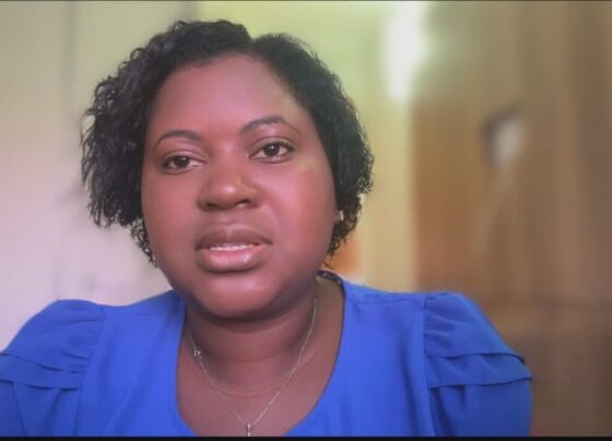 novo-arcabouco-fiscal-precisa-ser-‘simples,-flexivel-e-aplicavel’,-diz-vilma-pinto,-diretora-da-ifi