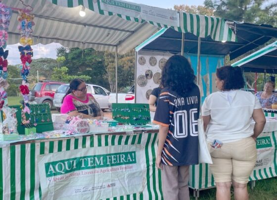 hoje-tem-feira-na-violeira,-que-passa-a-acontecer-semanalmente