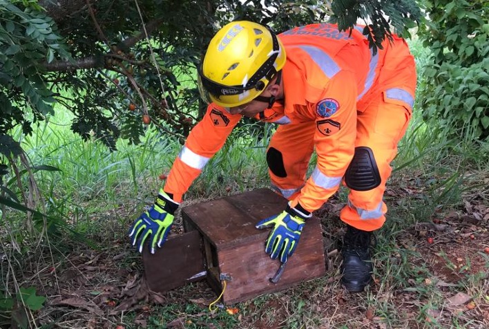 Bombeiros capturam Sagui dentro de garagem em Viçosa