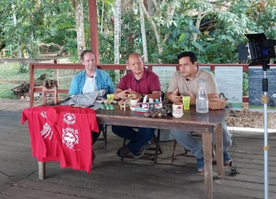 ufv-contribui-com-desenvolvimento-da-economia-criativa-na-amazonia