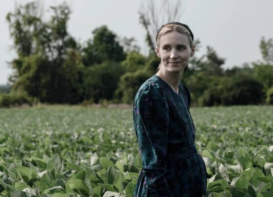 rooney-mara-sera-protagonista-de-novo-terror-do-diretor-de-‘noites-brutais’