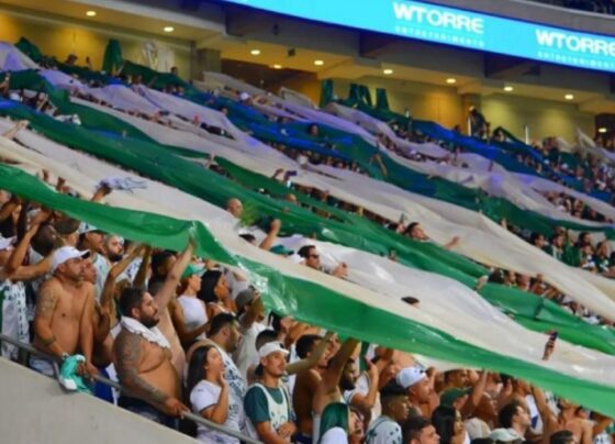 flamengo-e-palmeiras-deixam-rivais-no-chinelo-em-ranking-nacional;-gremio-surpreende