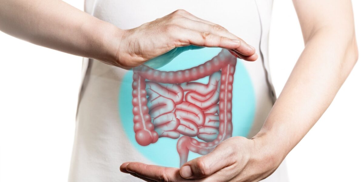 7-bebidas-para-consumir-com-poder-para-auxiliar-na-regulacao-intestinal