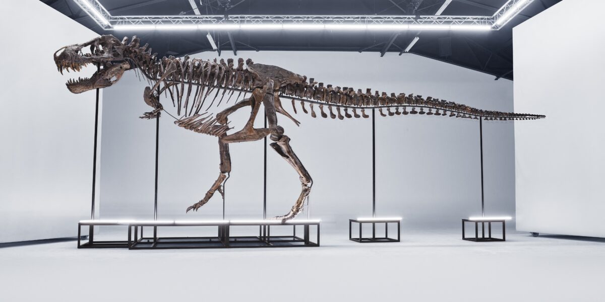 esqueleto-de-tiranossauro-rex-sera-leiloado-na-suica