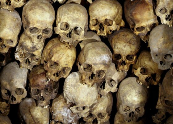 descoberta-fascinante:-arqueologos-encontram-cranios-operados-ha-milhares-de-anos