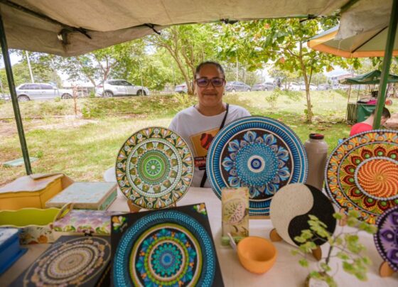 empreendedoras-do-municipio-tem-seus-produtos-expostos-na-feira-afro-mulher