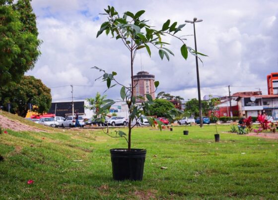 sedur-divulga-cronograma-de-acoes-socioambientais-para-comunidade