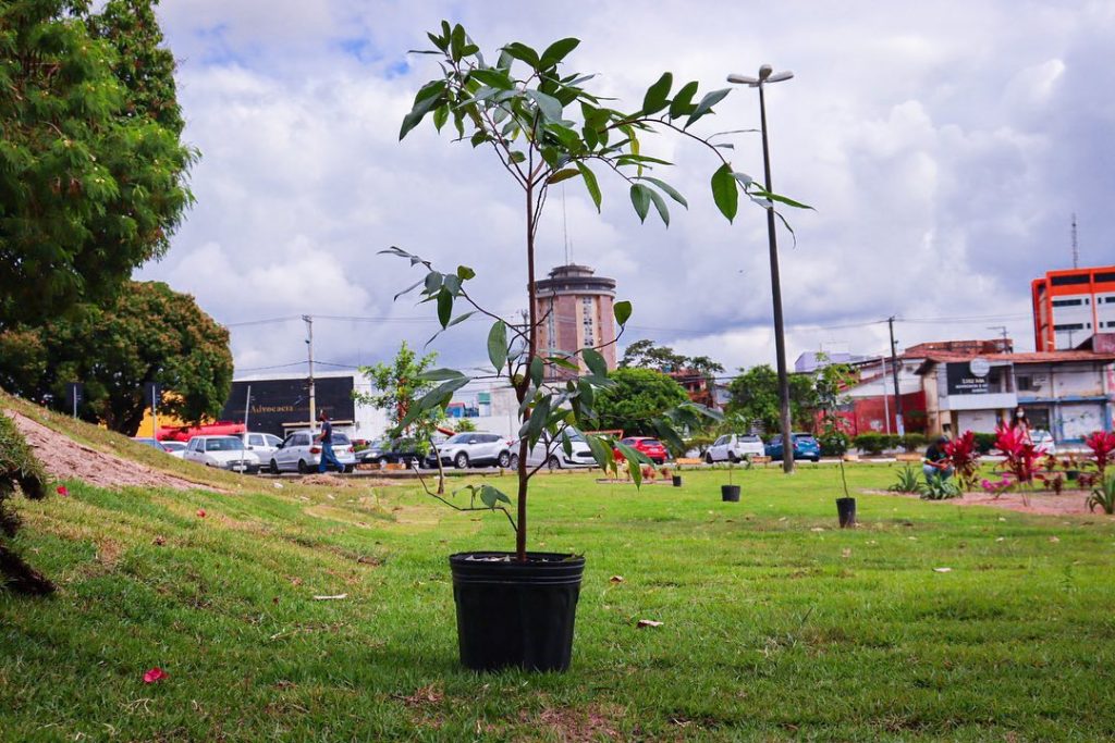 Sedur divulga cronograma de ações socioambientais para comunidade