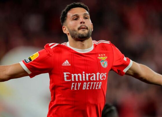 como-assistir-maritimo-x-benfica-ao-vivo-na-tv-e-online-pelo-campeonato-portugues