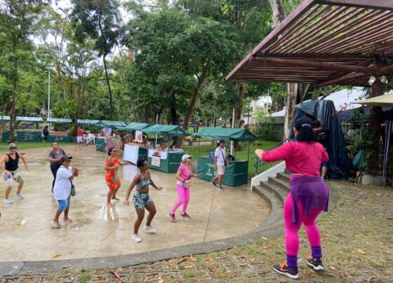 feirinha-“uma-muda-para-transformar”-recebe-mais-de-2-mil-pessoas