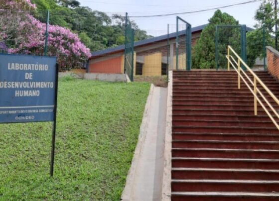 laboratorio-de-desenvolvimento-infantil-da-ufv-divulga-edital-para-sorteio-de-vaga-remanescente