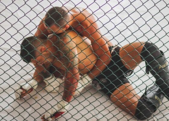 apostas-em-lutas-crescem:-saiba-como-apostar-no-mma-e-em-outras-modalidades