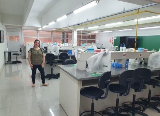 estudante-hostilizada-por-ter-mais-de-40-anos-descobriu-video-enquanto-se-preparava-para-apresentar-trabalho:-‘chorei-muito’