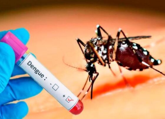 teixeiras-amplia-atendimento-de-saude-devido-ao-aumento-de-casos-suspeitos-de-dengue