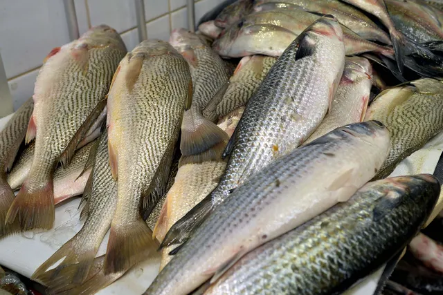 Mercado Popular de Água de Meninos terá ‘viradão’ inédito na Semana Santa; veja horários