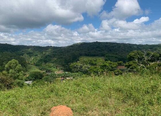 confira-como-fica-o-tempo-em-vicosa-e-regiao-nesta-quarta-feira-(15)