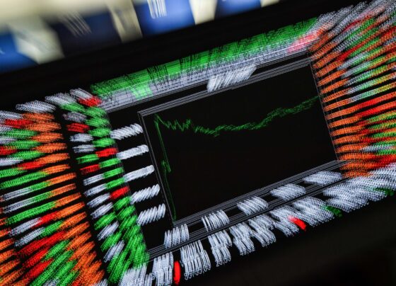 com-alta-dos-juros,-busca-por-renda-fixa-dispara-e-variavel-encolhe-em-2022;-veja-o-perfil-dos-investidores