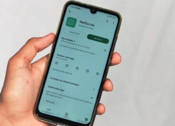 app-netescola-atualiza-e-mostra-saldo-de-beneficios;-entenda-como