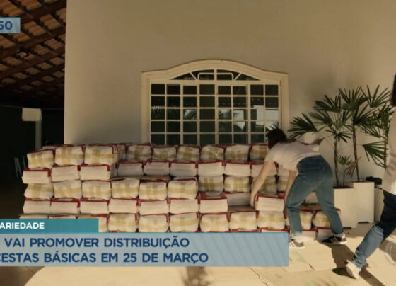 ong-promove-acao-no-df-para-distribuicao-de-cestas-basicas