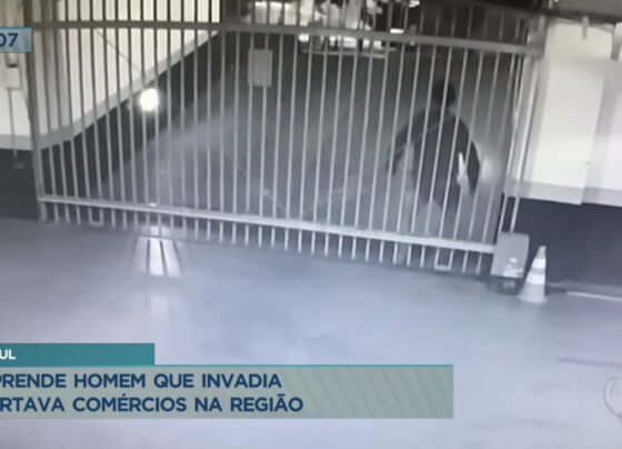 policia-prende-homem-que-invadia-e-furtava-comercios-na-asa-sul-(df)