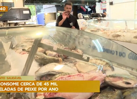 veja-dicas-e-cuidados-na-hora-de-comprar-peixes