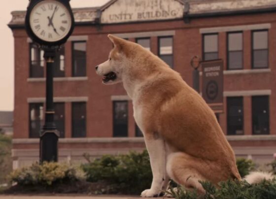 saiba-a-verdadeira-historia-de-sempre-ao-seu-lado