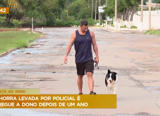 homem-recupera-cachorra-que-havia-sido-levada-por-ex-companheira-a-um-ano